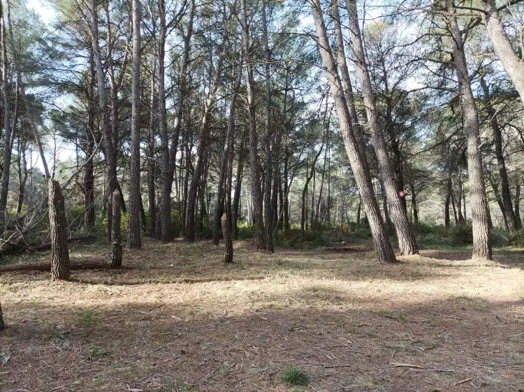 Terrain débroussaillé et mis en sécurité incendie à Aix-en-Provence