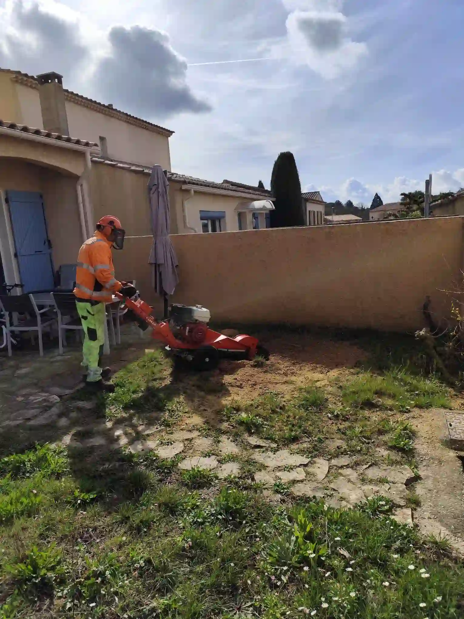 Souche d'arbre avant intervention de rognage à Aix-en-Provence