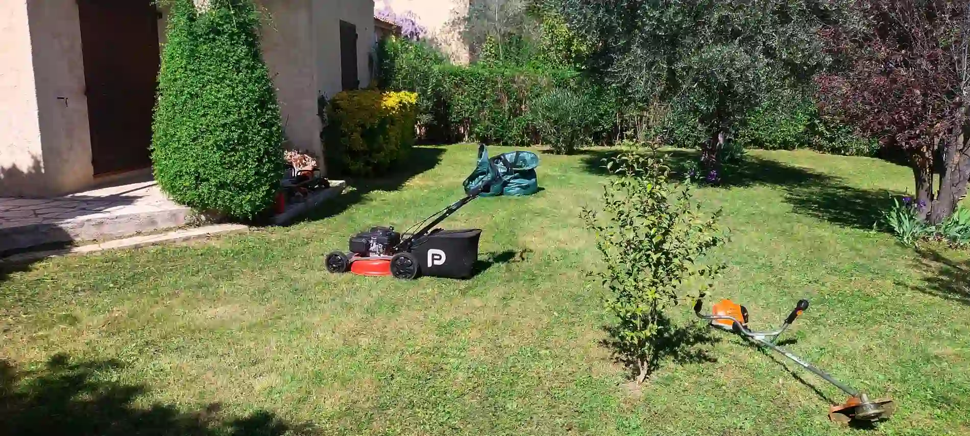 Résultat impeccable après tonte de pelouse à Aix-en-Provence