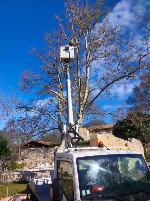 Élagage et abattage par démontage et rétention