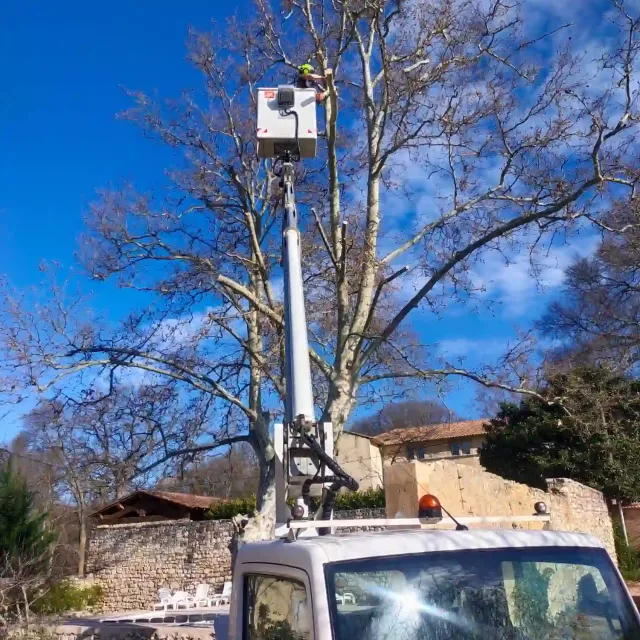 Élagage avec nacelle à Aix‑en‑Provence pour une intervention sécurisée, précise et efficace
