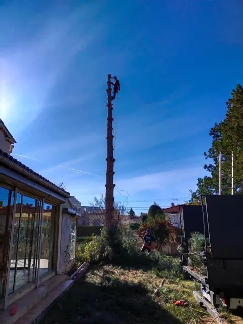 Élagage et abattage par démontage et rétention 