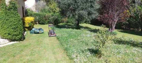 Tonte de pelouse à Allauch par un jardinier professionnel