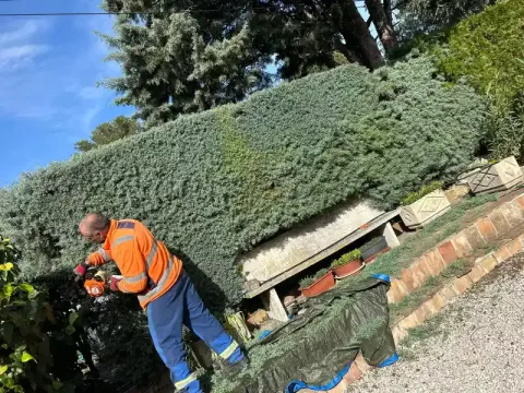 Taille de haies à Allauch par un paysagiste professionnel